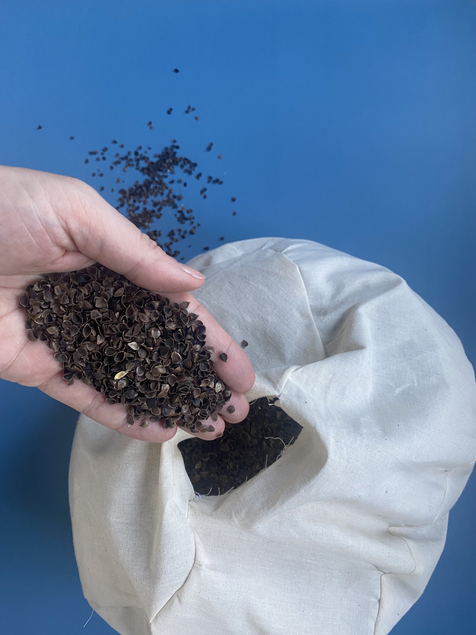 Bio-Buchweizenschalen